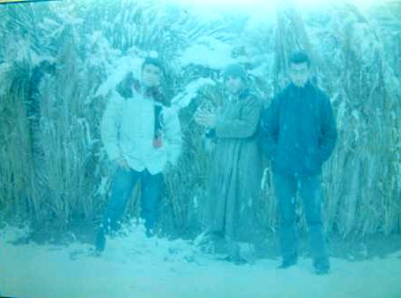 figuig sous la neige